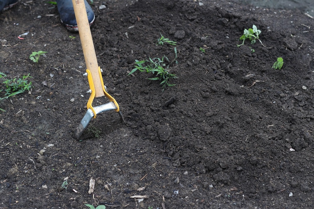 Weeding Tools 