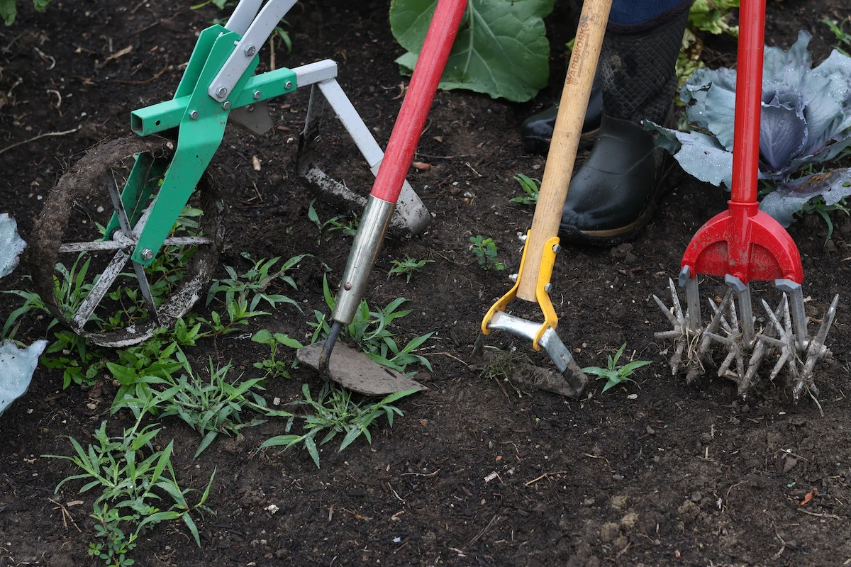 Long Handled Weeding Tools