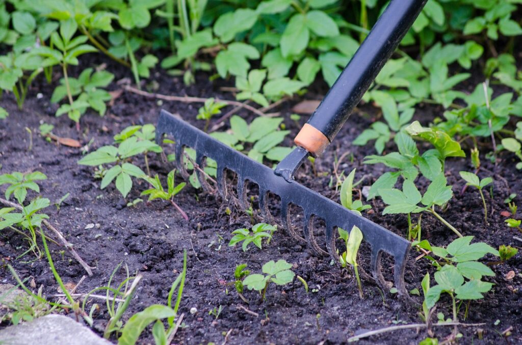 rake for weeds