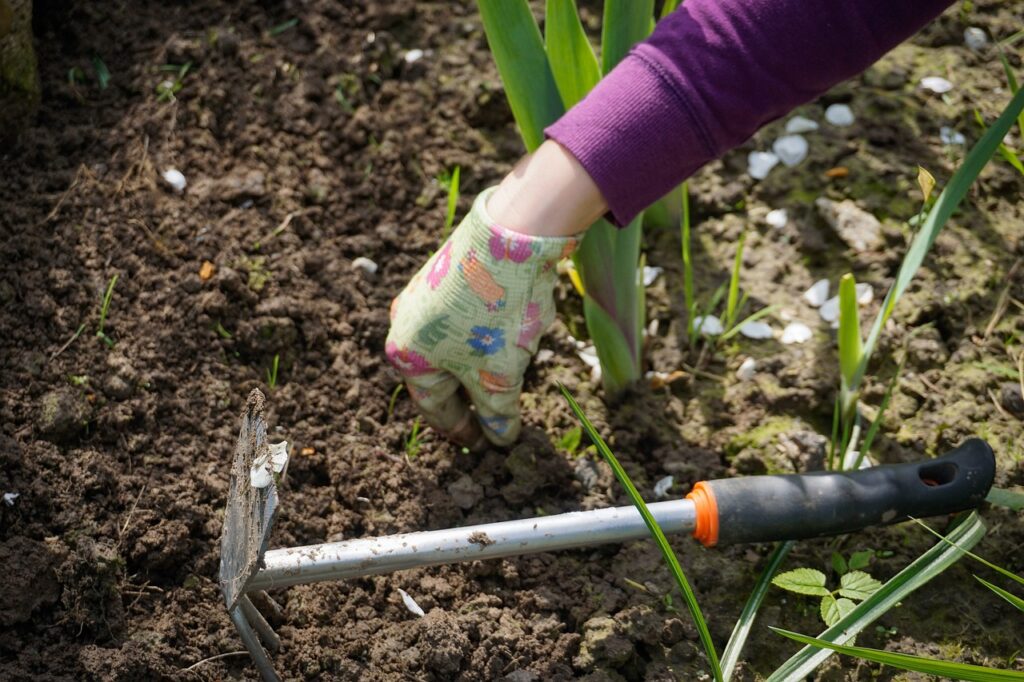 tools for weed removal